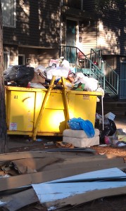 Unsafe Dumpster